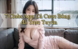 7 clubs app cá cược bóng đá trực tuyến