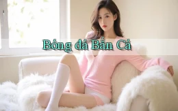 Bóng đá Bắn cá