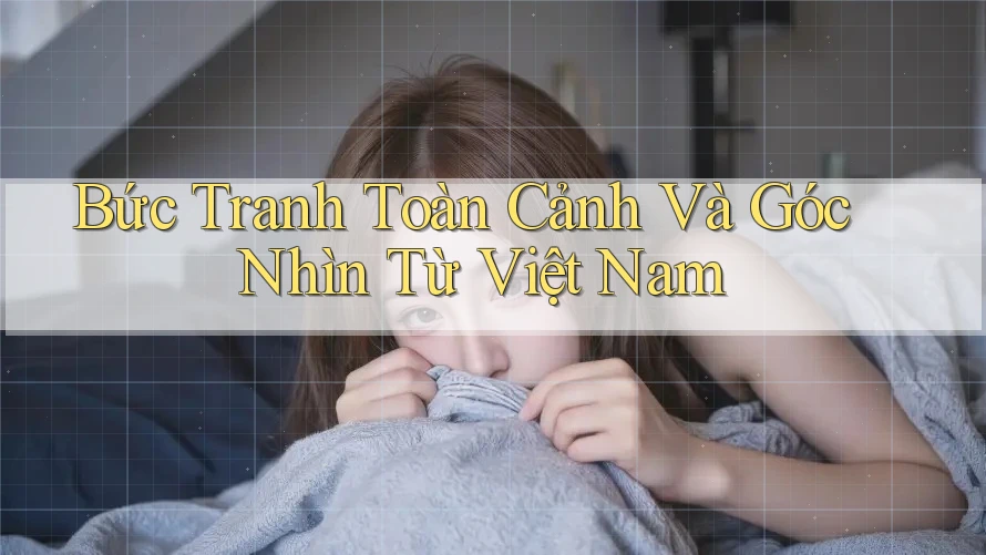 Bức Tranh Toàn Cảnh Và Góc Nhìn Từ Việt Nam Bức Tranh Toàn Cảnh Và Góc Nhìn Từ Việt Nam