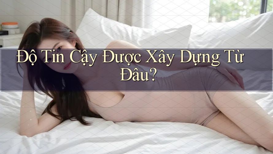 Độ Tin Cậy Được Xây Dựng Từ Đâu? Độ Tin Cậy Được Xây Dựng Từ Đâu?