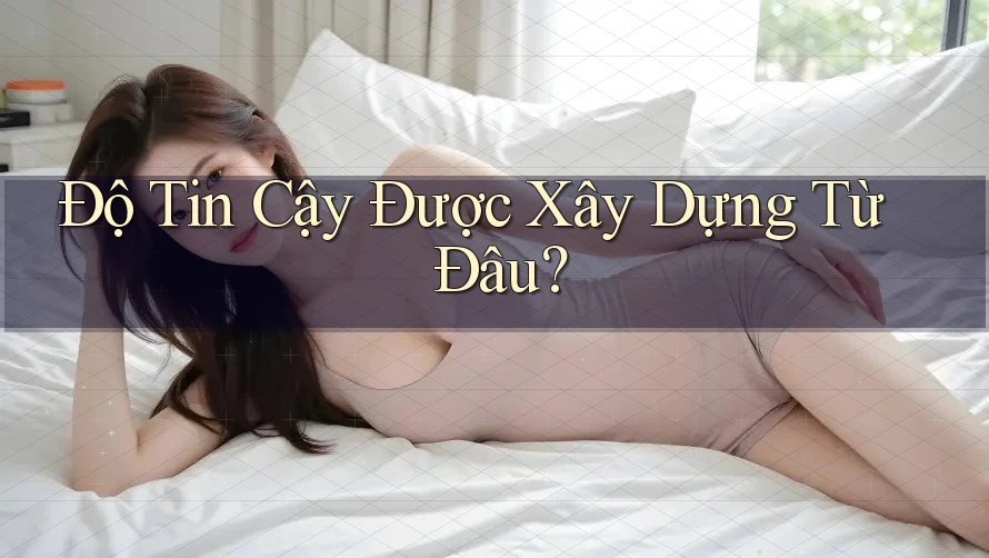 Độ Tin Cậy Được Xây Dựng Từ Đâu? Độ Tin Cậy Được Xây Dựng Từ Đâu?