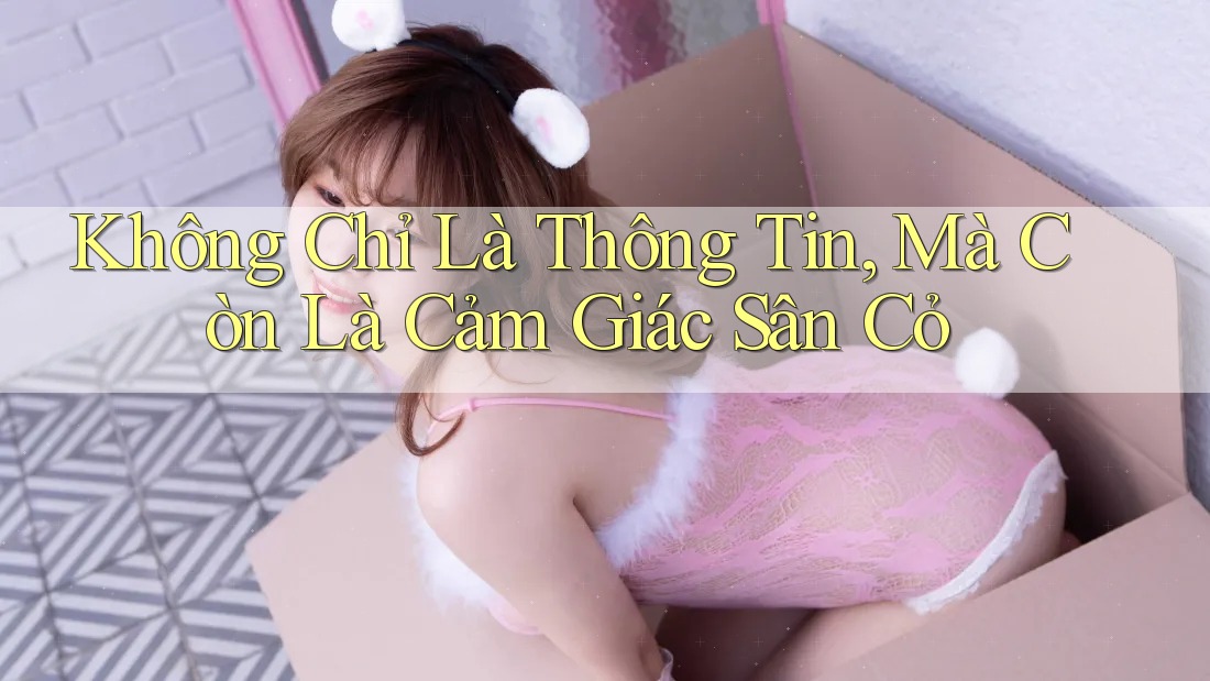 Không Chỉ Là Thông Tin, Mà Còn Là Cảm Giác Sân Cỏ Không Chỉ Là Thông Tin, Mà Còn Là Cảm Giác Sân Cỏ