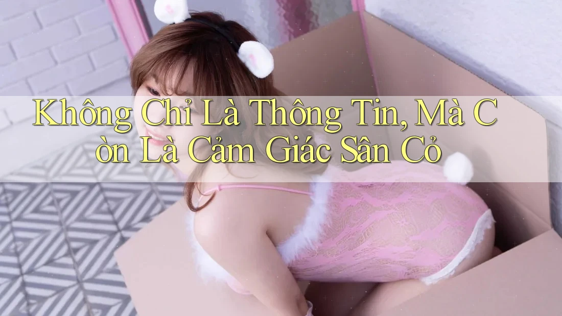Không Chỉ Là Thông Tin, Mà Còn Là Cảm Giác Sân Cỏ