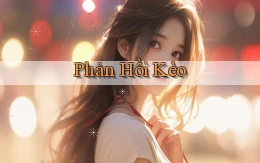 Phản hồi Kèo