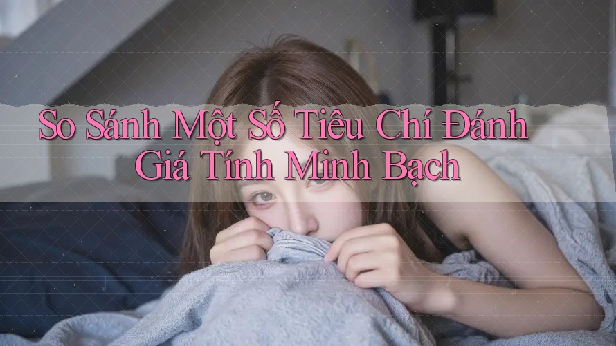 So Sánh Một Số Tiêu Chí Đánh Giá Tính Minh Bạch So Sánh Một Số Tiêu Chí Đánh Giá Tính Minh Bạch